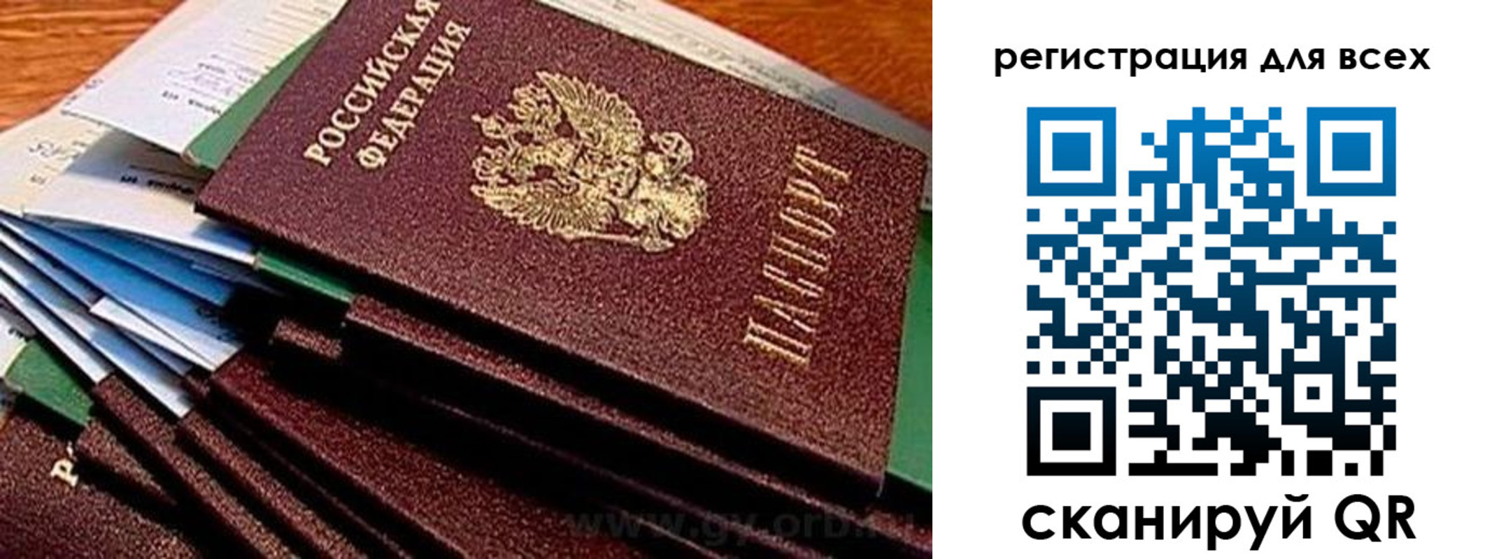 прописка для работы в Пионерском